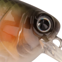Natty Shad