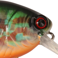 Pumpkin Seed