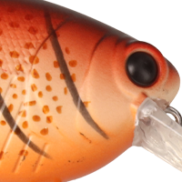 Brown Craw