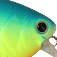 Chartreuse Blue Back