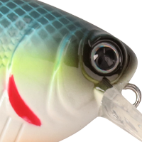 Chartreuse Sexy Shad