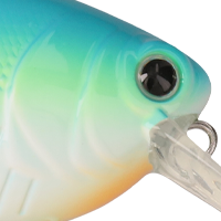 Citrus Shad
