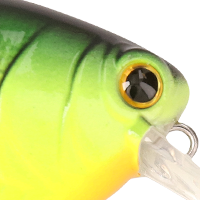 Perch