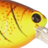 Spring Craw