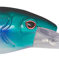 Candy Pilchard