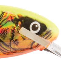 Gold Fluorescent Perch