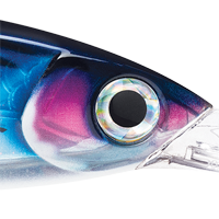 HD Bonito