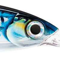 HD Silver Blue Mackerel