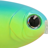 Chartreuse Blue Back