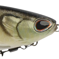 Perch