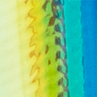Blue/Yellow Glow