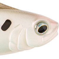 4K Shad