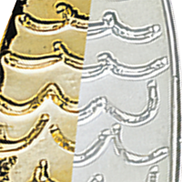 Gold Chrome
