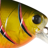 Green Craw
