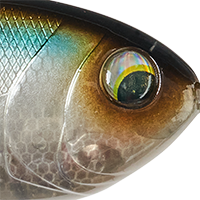 Ghost Shad