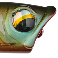 Bluegill