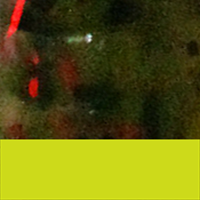 Watermelon Red/Chartreuse Tail