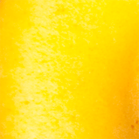 Salmon Egg