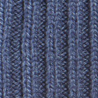 Blue Jay
