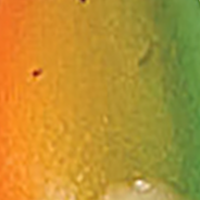 Orange/Chartreuse/Green