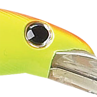 Chartreuse/Orange Back/Bars