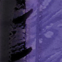 Purple Black