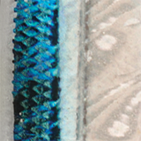 Silver Blue