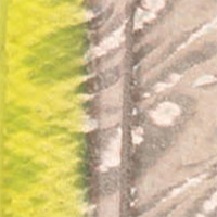 Super Chartreuse