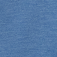 Coronet Blue