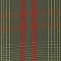 Sage Plaid