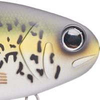 Crappie