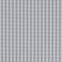 High Rise Gingham