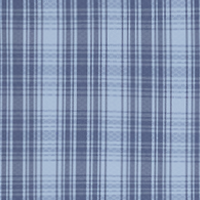 Placid Blue Plaid