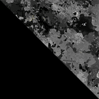 Brstl Blck/TrueTimber Midnight