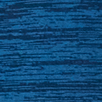 Insignia Blue
