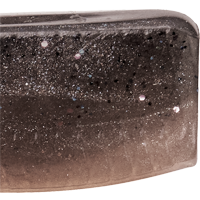 Mud Minnow