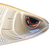 Pearl Shad