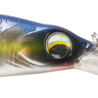 Sexy Shad