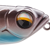 Bluegill