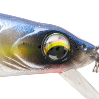 Sexy Shad