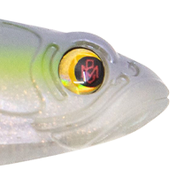 Blueback Herring