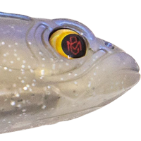 Black Back Shad