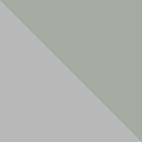 Silver/Sage Gray