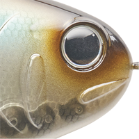 Ghost Shad