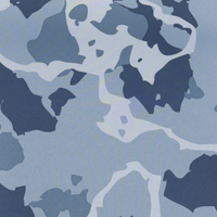 Regiment Camo Neptune