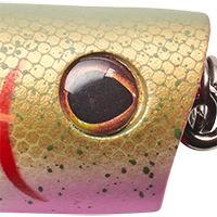 Yellow Perch