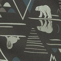 Gray Arctic Nights