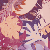Purple Pampas