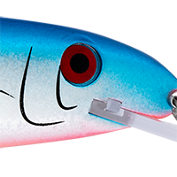 Baitfish
