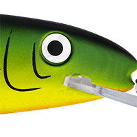 Fluoro Green